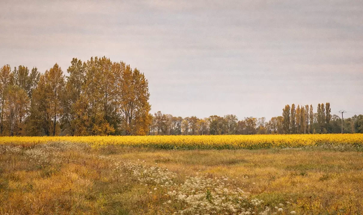 Agriculture