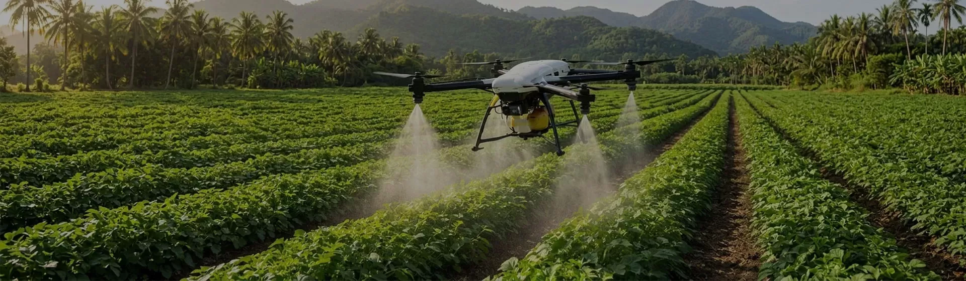 Utility of Drones