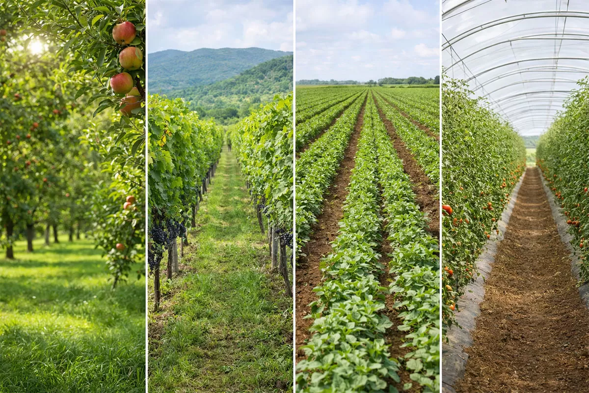 Precision Crop Protection & Spraying